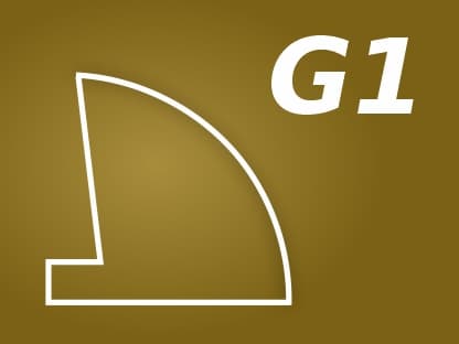 Profile G1