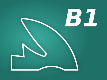 Profile B1