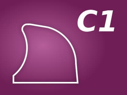 Profile C1